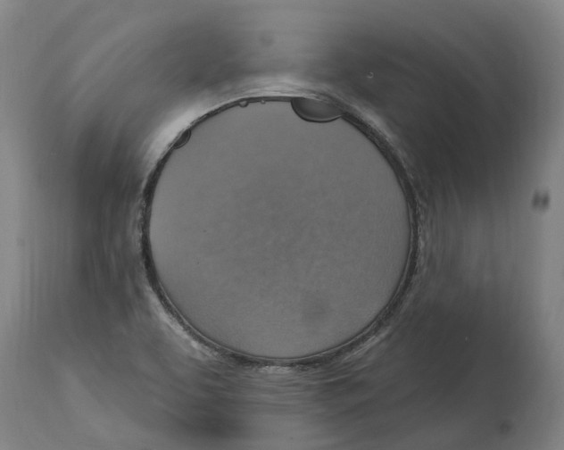 X0000114421463200911131440