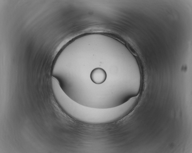X0000114421465200911131440