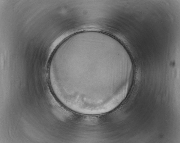 X0000114421466200911131440