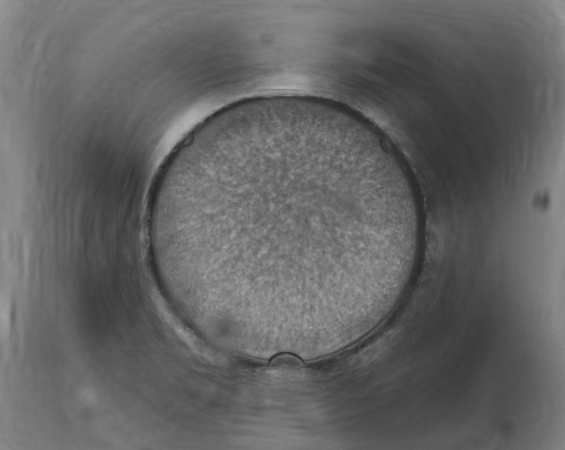 X0000114421469200911131440