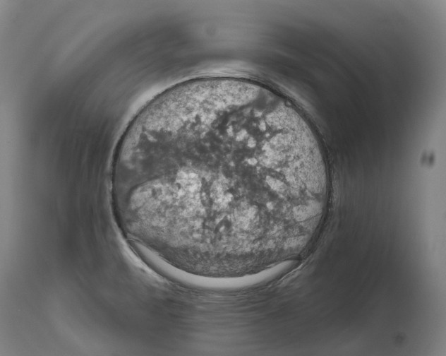X0000114421471200911131440