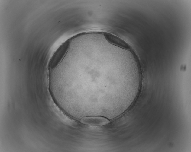 X0000114421472200911131440