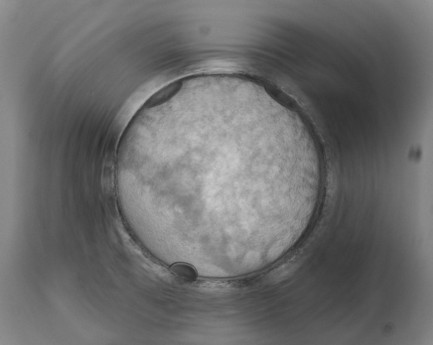 X0000114421473200911131440