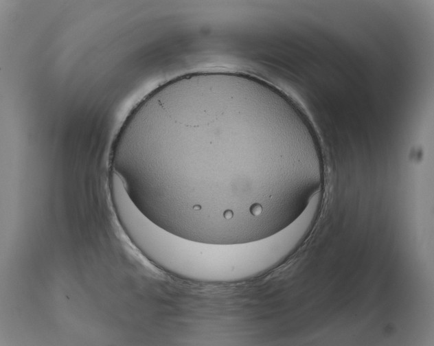 X0000114421480200911131440