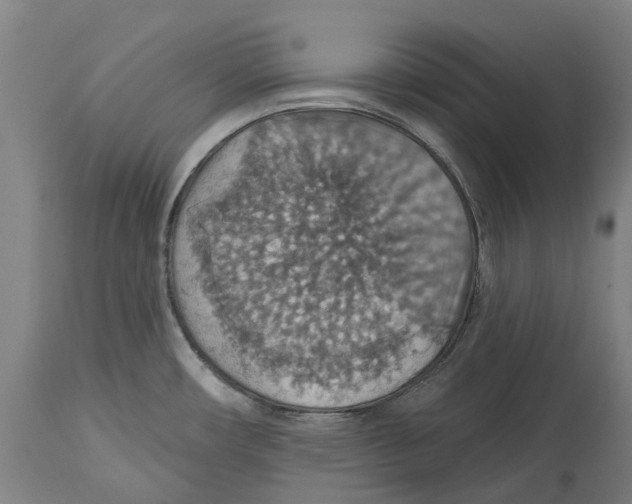 X0000114421482200911131440
