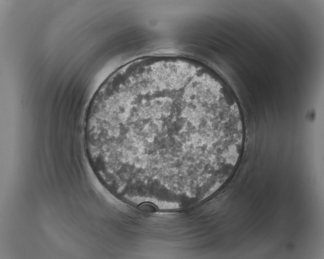 X0000114421483200911131440