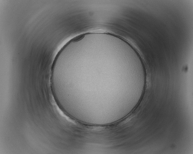 X0000114421484200911131440