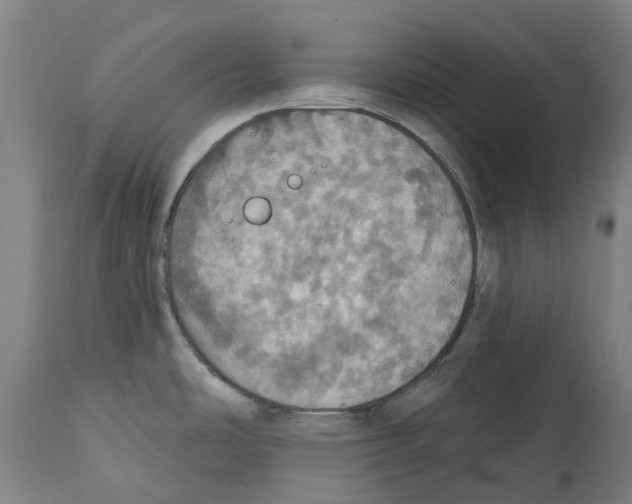X0000114421486200911131440