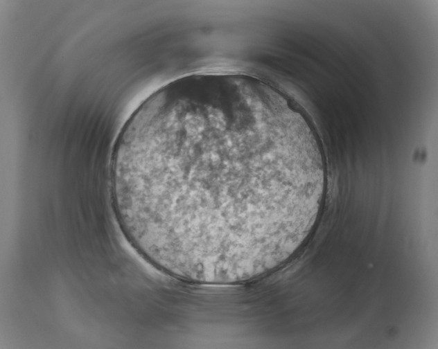 X0000114421487200911131440