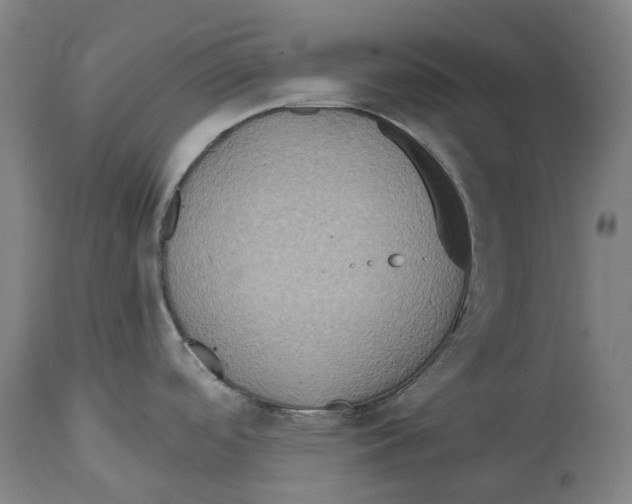 X0000114421488200911131440