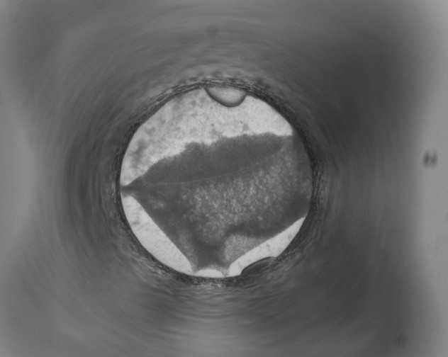 X0000114421489200911131439