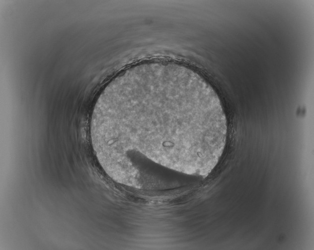 X0000114421490200911131439