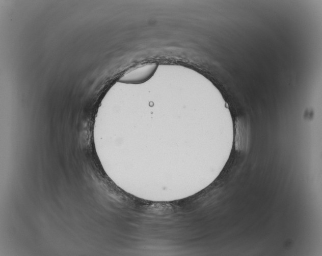 X0000114421491200911131439