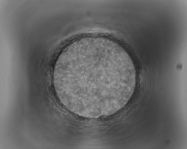X0000114421493200911131439