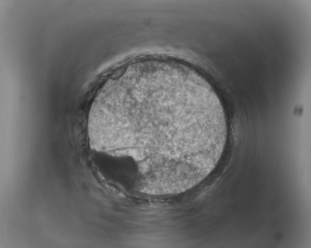 X0000114421494200911131439