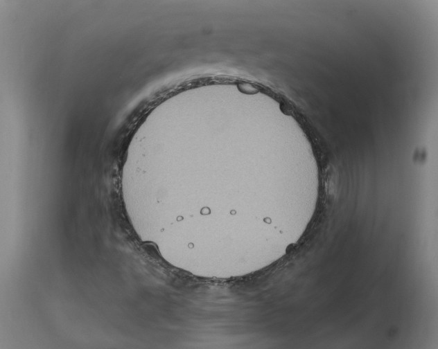 X0000114421495200911131439