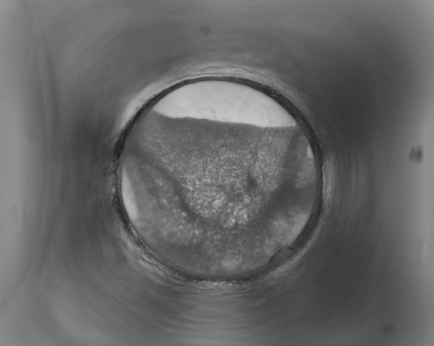 X0000114421501200911131439
