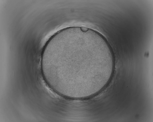 X0000114421507200911131439