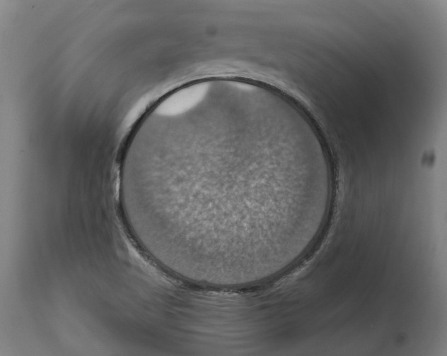 X0000114421509200911131439