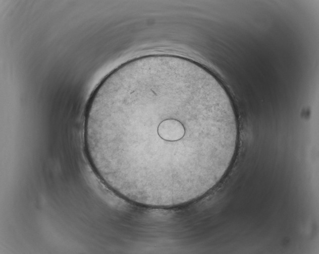 X0000114421514200911131440