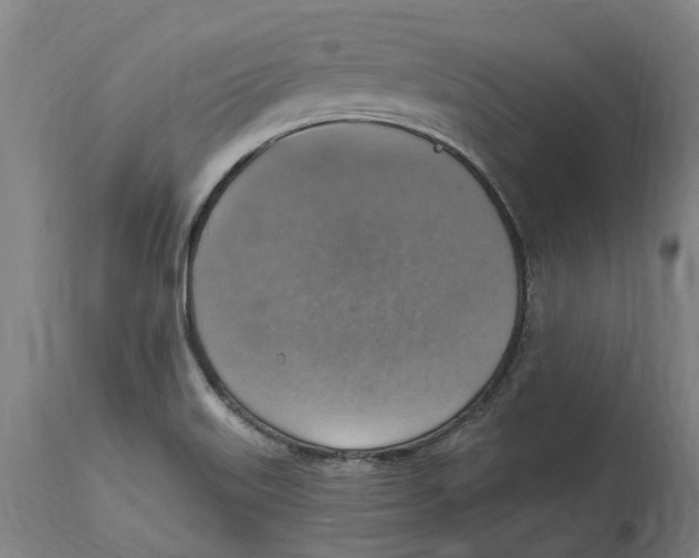 X0000114421515200911131440
