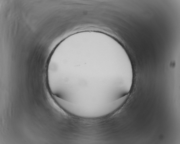 X0000114421518200911131440