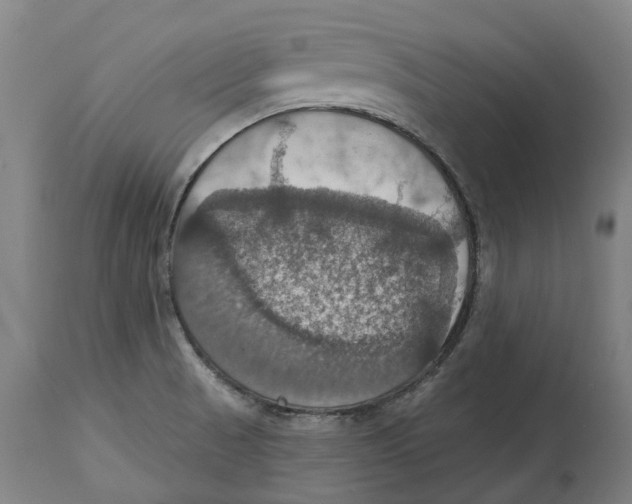 X0000114421521200911131440