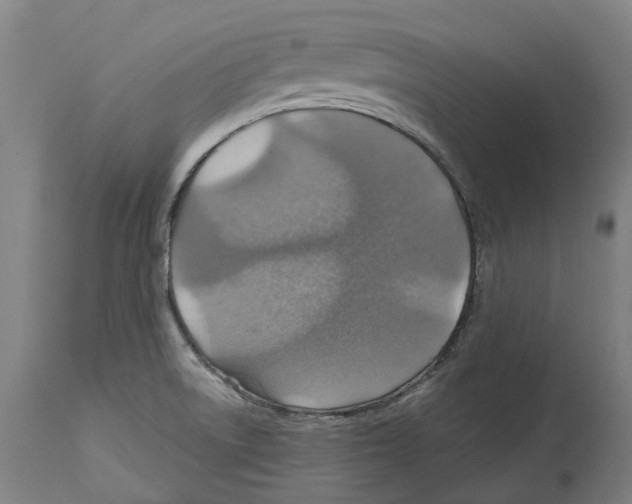 X0000114421522200911131440