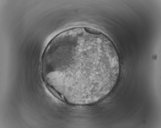 X0000114421527200911131440