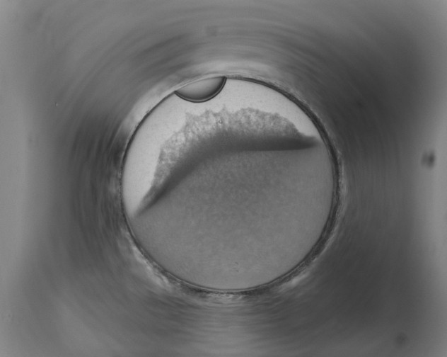 X0000114421529200911131440