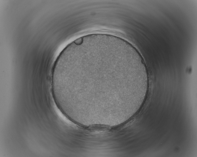 X0000114421531200911131440