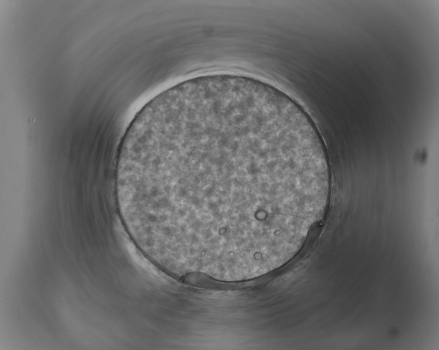 X0000114421534200911131440
