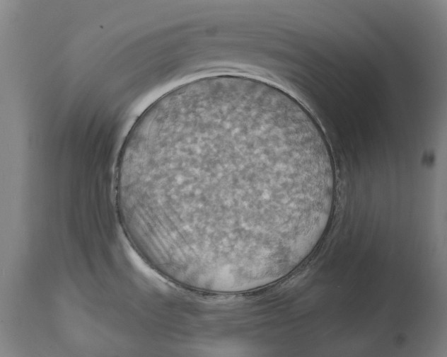 X0000114421535200911131440