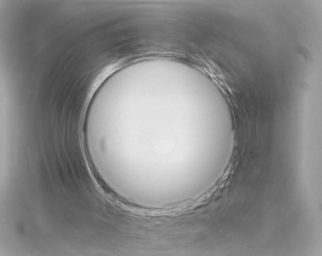 X0000114420003200911271607