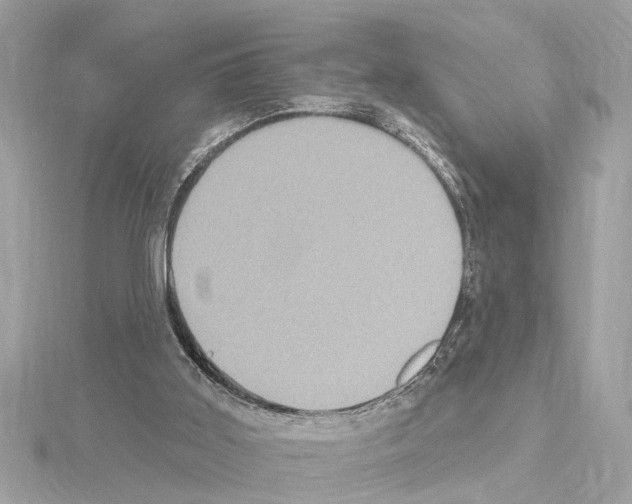 X0000114420011200911271606