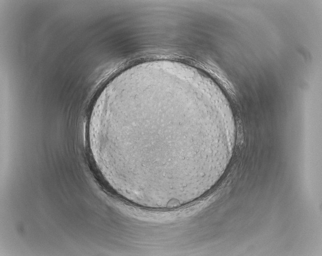 X0000114420014200911271606