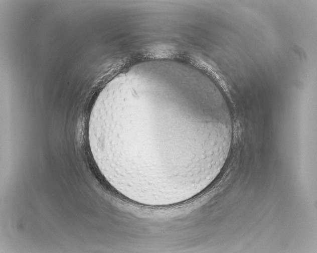 X0000114420018200911271606