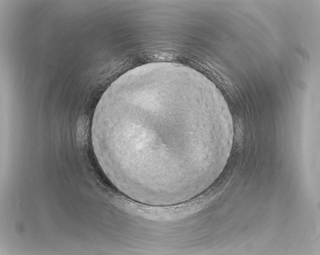X0000114420030200911271606