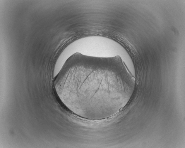 X0000114420035200911271606