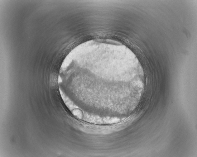 X0000114420048200911271606
