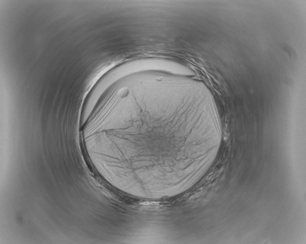 X0000114420052200911271605