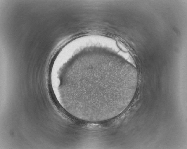 X0000114420055200911271605