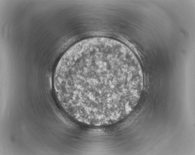 X0000114420061200911271605
