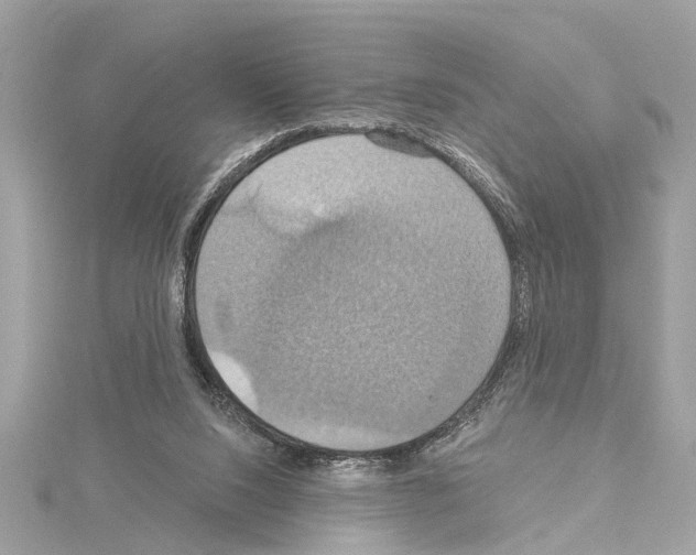 X0000114420064200911271605