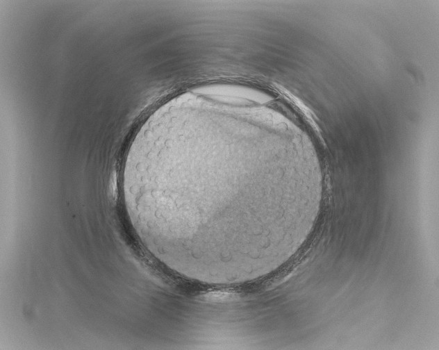 X0000114420067200911271605