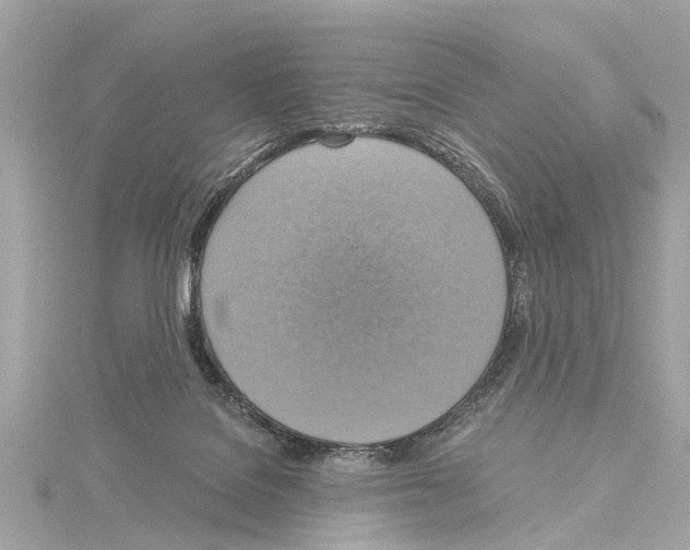 X0000114420076200911271606