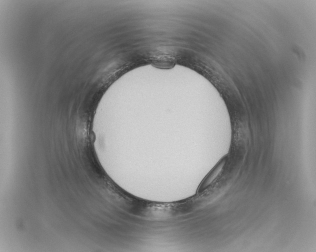 X0000114420084200911271606