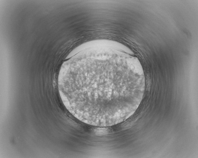 X0000114420085200911271606