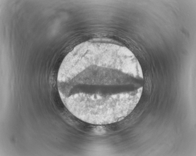 X0000114420091200911271606