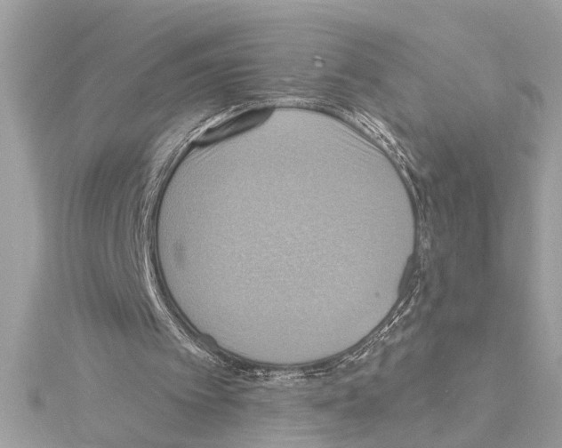 X0000114420097200911271605